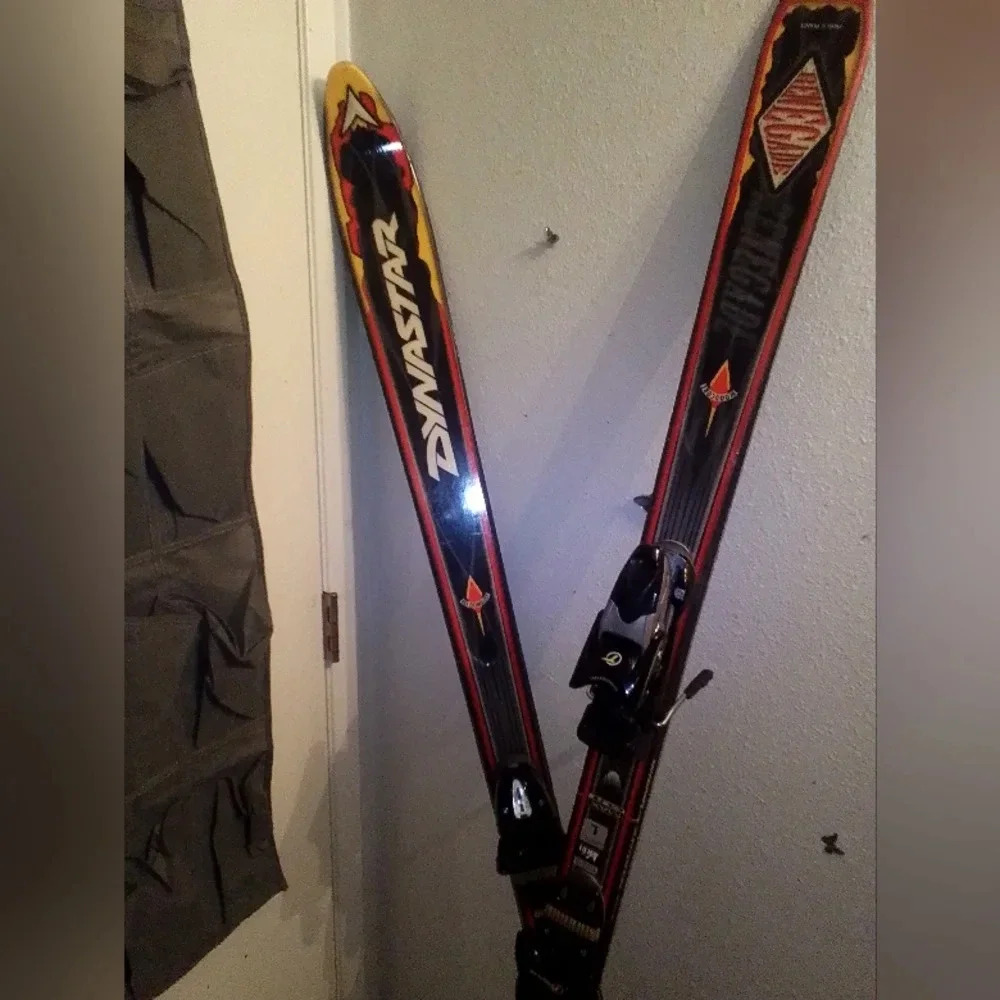 Dynastar Renegade ski's